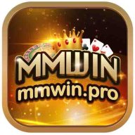 mmwinpro